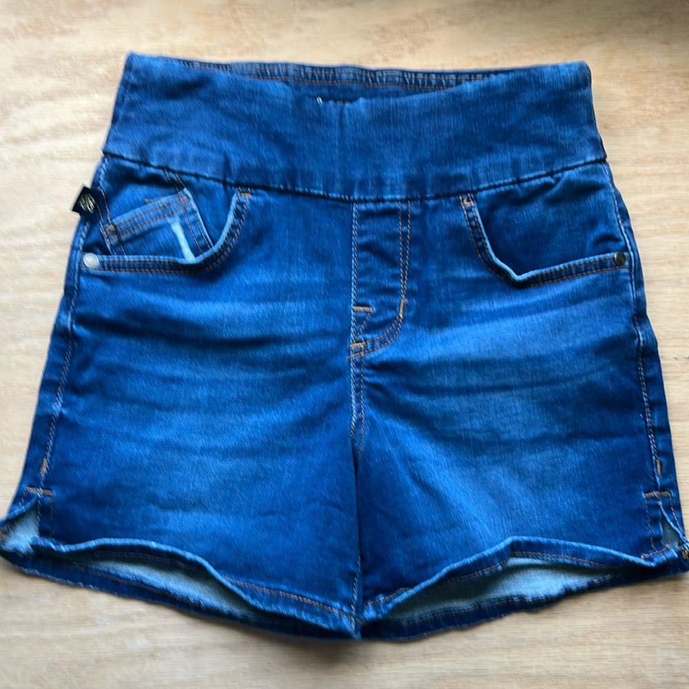 Rock & Republic Denim RX   FEVER Pull On Size 2